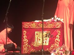 -合肥大剧院