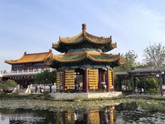 -曹州牡丹园
