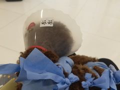 -北京恒爱动物医院(清景园分院)