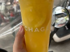 -霸王茶姬(大学城熙街店)