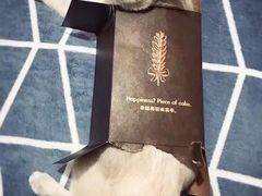 -宠爱国际动物医院· 猫科· 外科·中兽医(长白店)