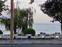 -野菌皇海景野生菌火锅(滨海大道店)