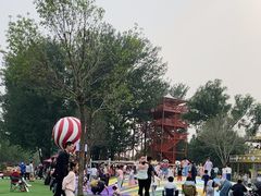 -稻香湖公园