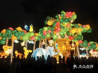 这里围绕猪年做了一系列的花灯，花灯做的好精致漂亮