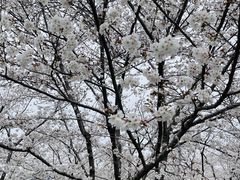 -龙美术馆西岸馆-停车场