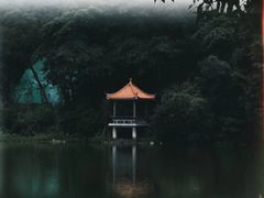 -深圳仙湖植物园