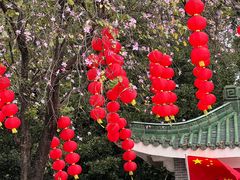 -广州兰圃
