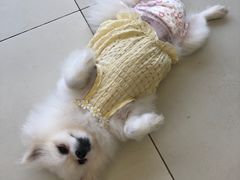 -怪兽屋·羊驼·猫咖·狗咖(俊华广场店)