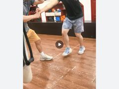-温鉴良实用咏春拳