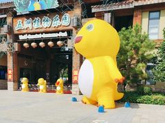 -南宫五洲植物乐园