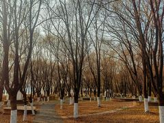 -棋盘山风景区