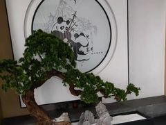 -享月汤皇·海鲜小火锅·聚会(曲江创意谷店)