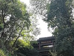 -中国茶叶博物馆(双峰馆区)