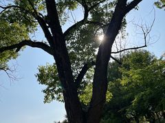 -莫泰酒店(厦门万象城火车站地铁站店)