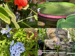 -国家植物园南园