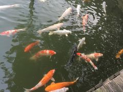 -东部华侨城