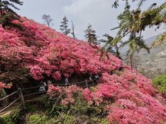 -木兰云雾山