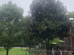 -天目湖御水温泉·度假酒店