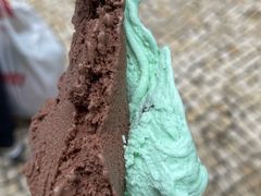 -柠檬车露(卖草地店)