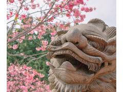 -宝墨园景区