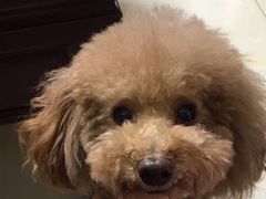 -喜士多便利店(宜山店)