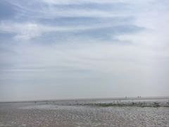 -碧海金沙