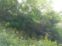 -青龙山公园