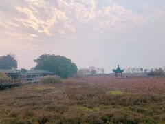 -东湖磨山景区