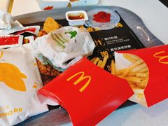 -麦当劳(红旗路店)