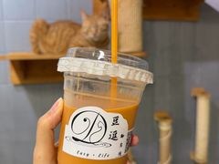 -豆逗聊愈猫阁Easy Life