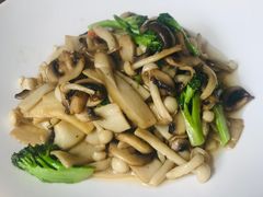 -饭怕鱼(阳光100店)