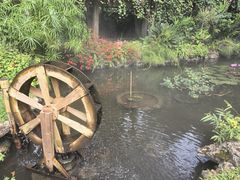 -中国科学院西双版纳热带植物园