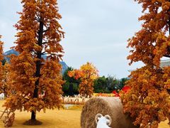 -河南宝泉旅游区