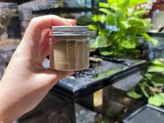 -酷以爬仙阁实体爬宠店·守宫·蜥蜴·专业繁育