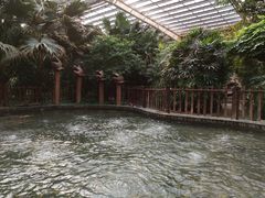 -龙达温泉生态城