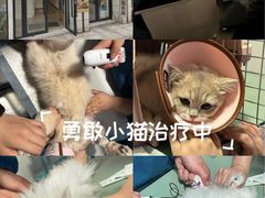 -守诺宠物医院·眼科· 特色牙科·异宠专科(虹口店)