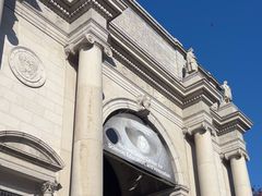 -美国自然历史博物馆