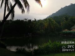 -呀诺达热带雨林