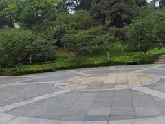 -南山植物园