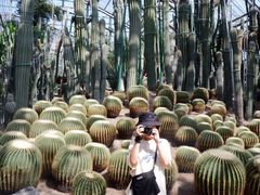 -南山植物园