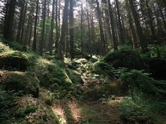 -芦芽山旅游度假区