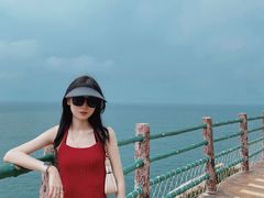 -广东惠东海龟国家级自然保护区