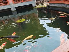 -香麒园·过桥米线·南湖雅宴