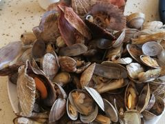 -港畔赶海蒸汽海鲜烧烤自助(仙螺岛店)