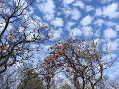 -龙洞风景区-藏龙涧