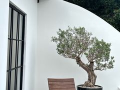 -自由生长植物工作室(深港花卉中心店)