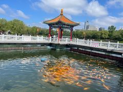 -长春市南湖公园