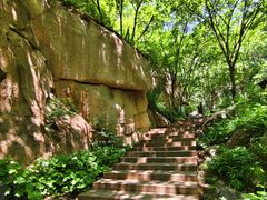 -大岭沟猕猴桃谷风景区