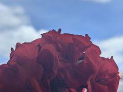 -花溪公园