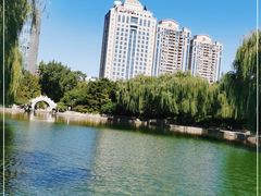 -团结湖公园